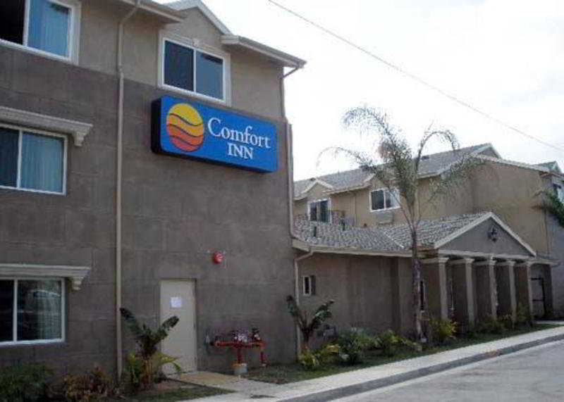 Comfort Inn Cockatoo Near Lax Hawthorne Esterno foto